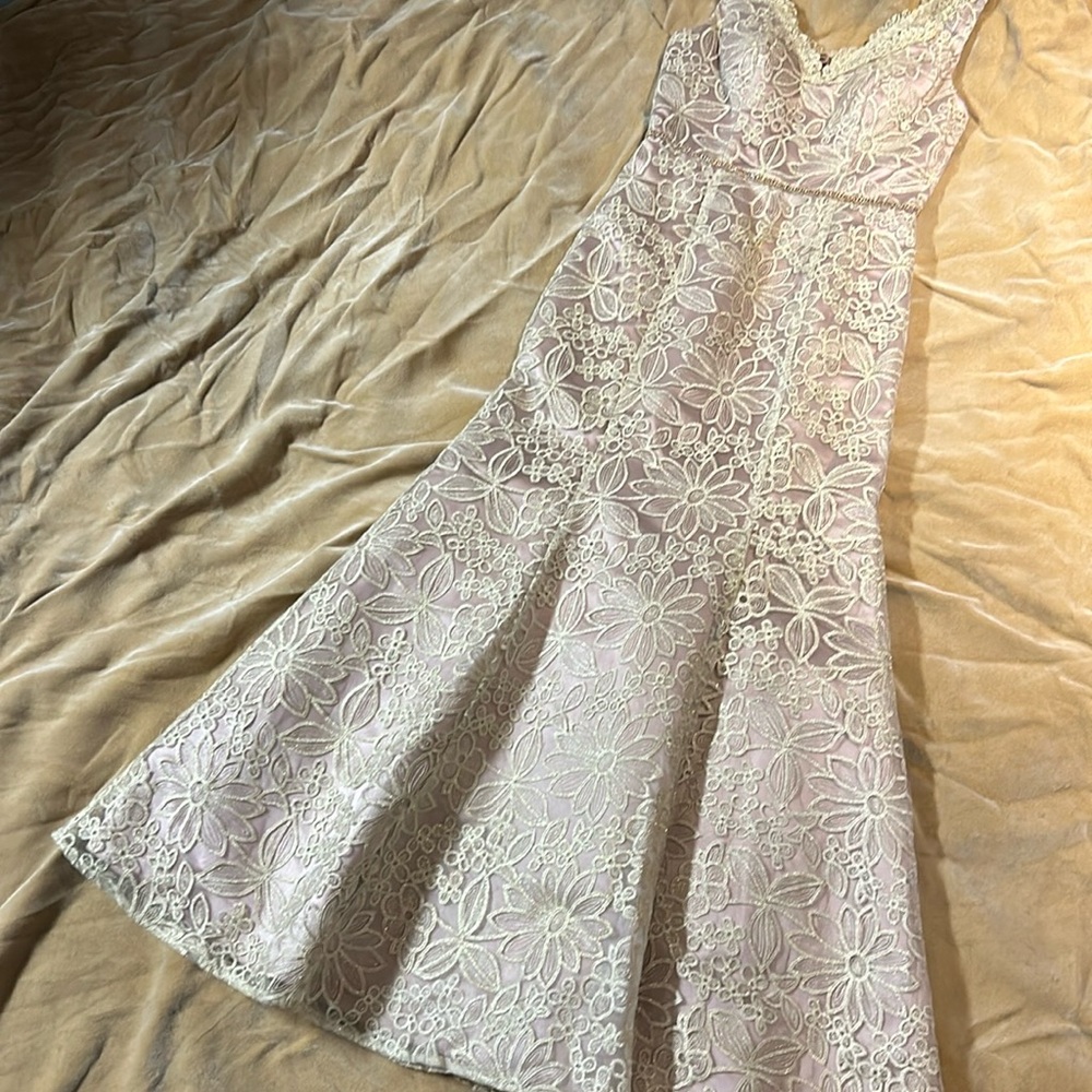 champagne lace mermaid mother of the bride dress